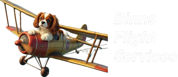 Binns Flight Services